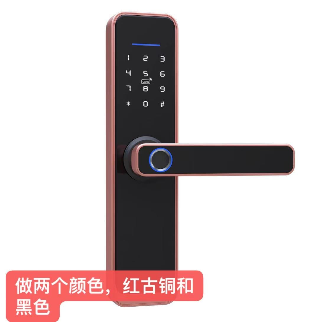 Ora FacePass Pro (Model: FP06)